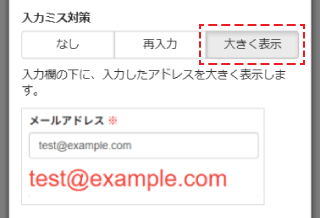 メールアドレスの入力ミス対策_大きく表示